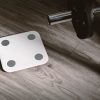 mi body composition scale zepp